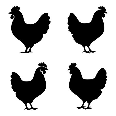 Chicken silhouette vector on white backgroundのイラスト素材