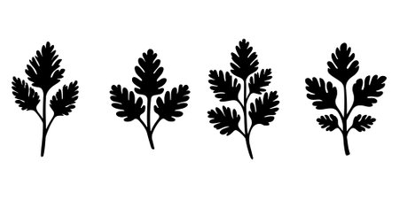 Parsley silhouette leaf vector set on white backgroundのイラスト素材