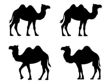 camels silhouettes set vector on white backgroundのイラスト素材