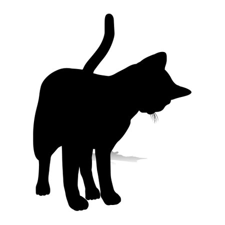 cat silhouette, vector sphinx, side view, cat breeds, pet, animals cat.のイラスト素材