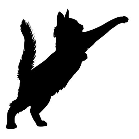 cat silhouette, vector sphinx, side view, cat breeds, pet, animals cat.のイラスト素材