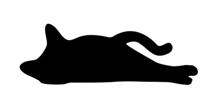 cat silhouette, vector sphinx, side view, cat breeds, pet, animals cat.のイラスト素材