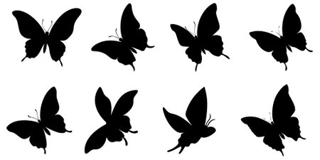 Set of butterfly silhouette vector illustrations on a white background.のイラスト素材