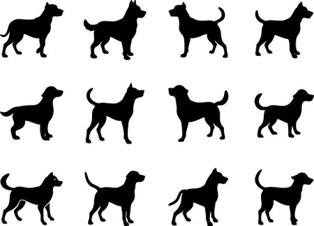Dog illustration, Dog art, Dog drawing vector on white backgroundのイラスト素材