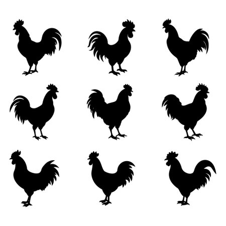 Rooster or cock silhouette vector set on white backgroundのイラスト素材