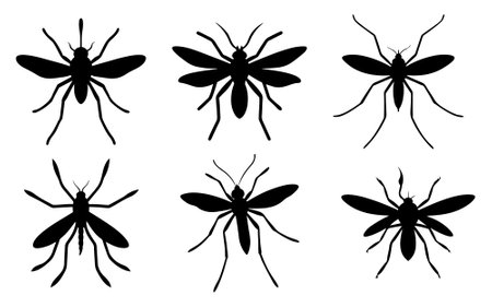 Mosquito silhouette. Mosquito isolated on white backgroundのイラスト素材