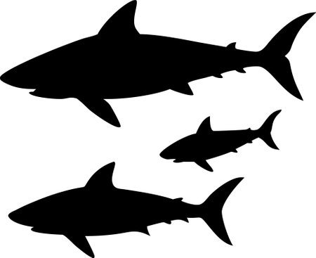 Shark silhouette flat illustration vector on isolated background. shark icon setのイラスト素材