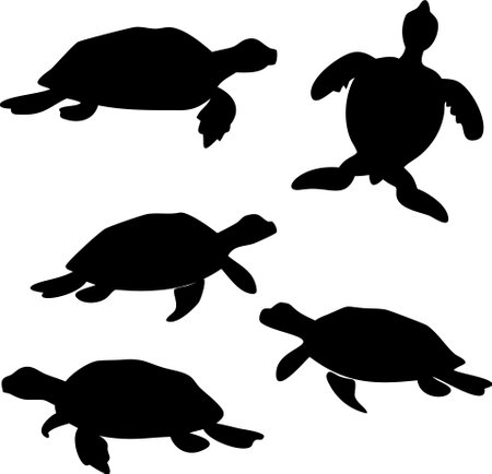 Sea turtle silhouette vector bundle isolated on white backgroundのイラスト素材