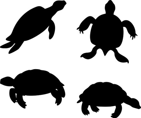 Sea turtle silhouette vector bundle isolated on white backgroundのイラスト素材