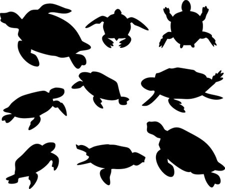 Sea turtle silhouette vector bundle isolated on white backgroundのイラスト素材