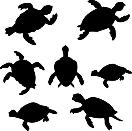 Sea turtle silhouette vector bundle isolated on white backgroundのイラスト素材