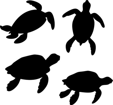 Sea turtle silhouette vector bundle isolated on white backgroundのイラスト素材