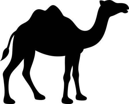 Camel. Black silhouette of a walking camel isolated on a white backgroundのイラスト素材