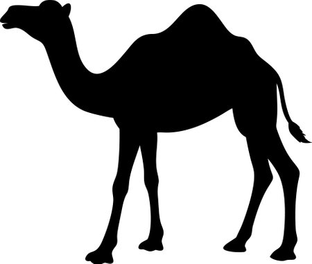 Camel. Black silhouette of a walking camel isolated on a white backgroundのイラスト素材