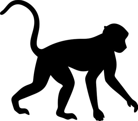 Monkey silhouette black and white vector on white backgroundのイラスト素材