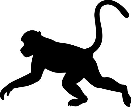 Monkey silhouette black and white vector on white backgroundのイラスト素材
