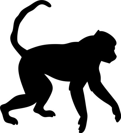 Monkey silhouette black and white vector on white backgroundのイラスト素材