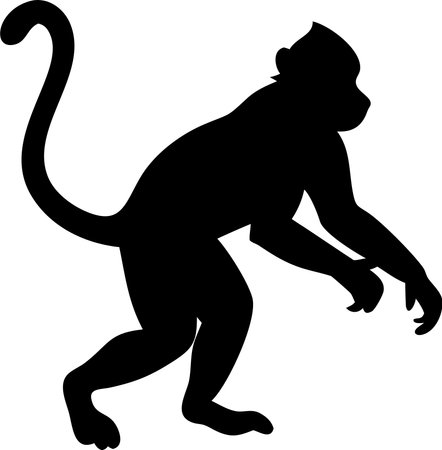 Monkey silhouette black and white vector on white backgroundのイラスト素材