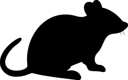 Rat silhouette vector illustration on white backgroundのイラスト素材