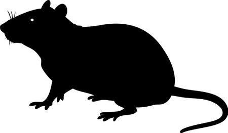 Rat silhouette vector illustration on white backgroundのイラスト素材