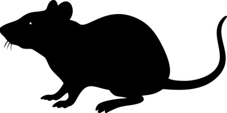 Rat silhouette vector illustration on white backgroundのイラスト素材