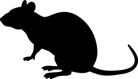 Rat silhouette vector illustration on white backgroundのイラスト素材