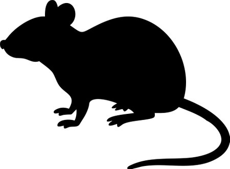 Rat silhouette vector illustration on white backgroundのイラスト素材