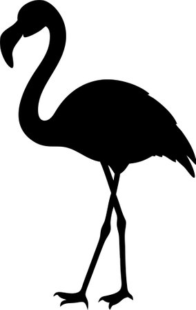 Black silhouette flamingo logo vector on white backgroundのイラスト素材
