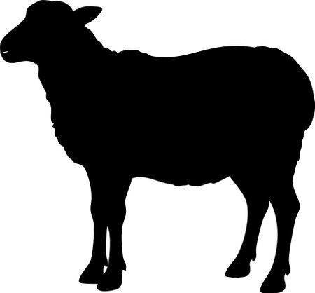 Cute sheep lamb silhouette isolated on white background. Lamb icon vector illustration design.のイラスト素材