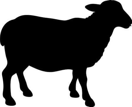 Cute sheep lamb silhouette isolated on white background. Lamb icon vector illustration design.のイラスト素材