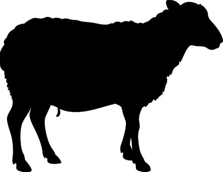 Cute sheep lamb silhouette isolated on white background. Lamb icon vector illustration design.のイラスト素材