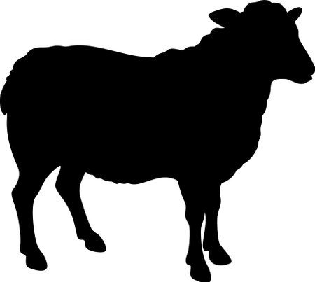 Cute sheep lamb silhouette isolated on white background. Lamb icon vector illustration design.のイラスト素材