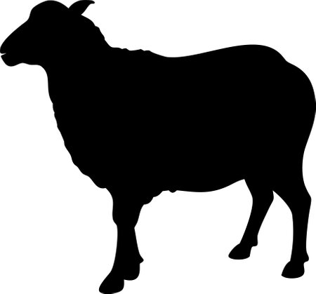 Cute sheep lamb silhouette isolated on white background. Lamb icon vector illustration design.のイラスト素材