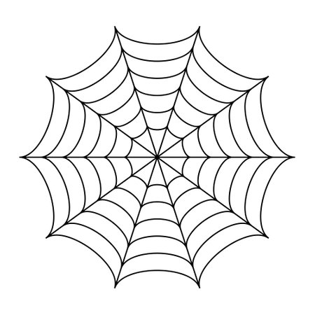 Spider web vector illustration vector on white background. cobweb vector artのイラスト素材
