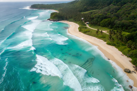 Aerial view of beautiful tropical beach with turquoise water and white sandの写真素材