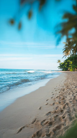 Tropical beach with palm trees and sand. Seascapeの写真素材