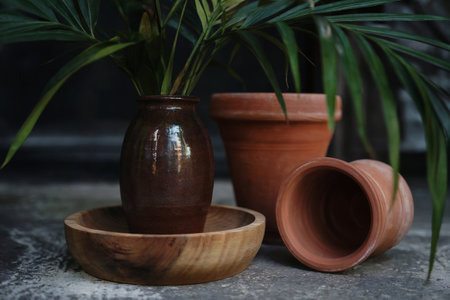 Clay pot and plant on cement floor with natural background, stock photoの写真素材