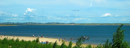 sea and treeの写真素材