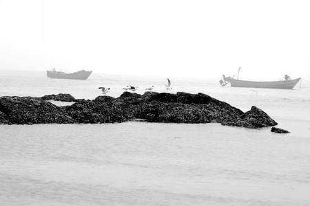 Sea and Seagulls の写真素材