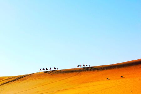 desertの写真素材