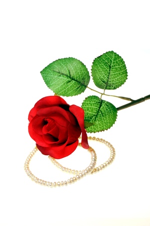 rose and giftの写真素材