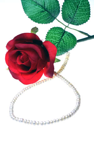 rose and giftの写真素材