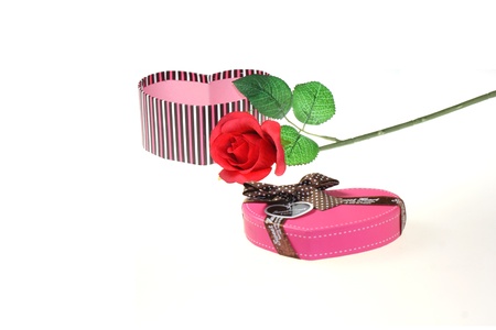 Gift and roseの写真素材