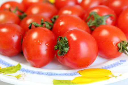 Tomatoの写真素材