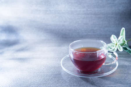Tea in a light-filled clear glass. Healing, rest, cafe, tea time.の写真素材