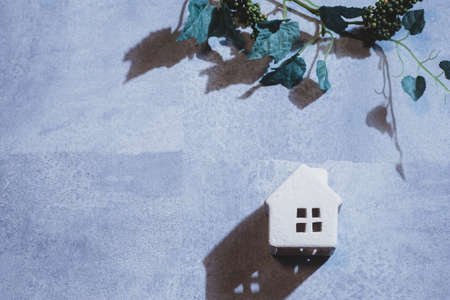 Home and Leaves. Images of home, family, home, etc. Copy space available.の写真素材