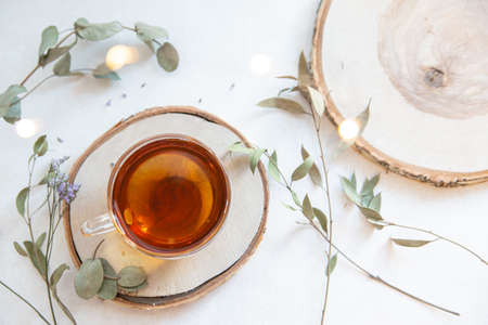 Women's hands for tea at home. Relaxation, rest and tea time at home.の写真素材