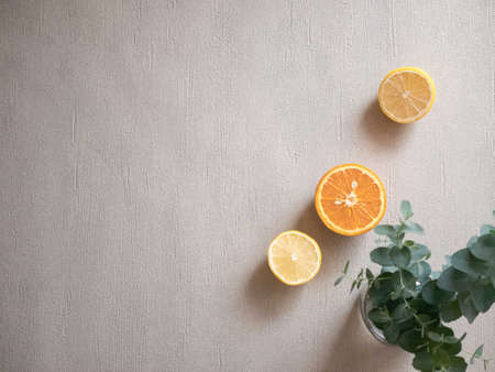 Lemon and citrus fruits and eucalyptus leaves. Relaxing aromas.の写真素材