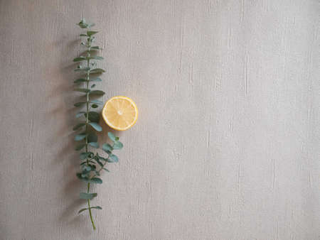 Lemon and citrus fruits and eucalyptus leaves. Relaxing aromas.