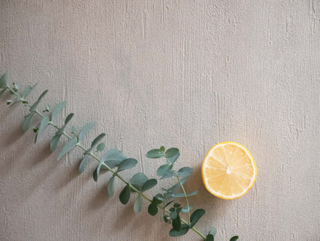 Lemon and citrus fruits and eucalyptus leaves. Relaxing aromas.の写真素材